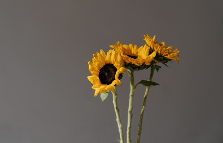 REST APIs vs. Backend for Frontend